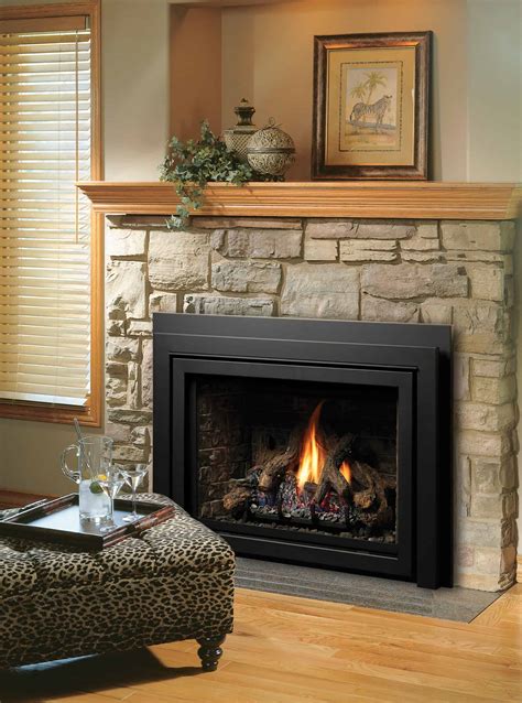 gas fireplace insert  blower napoleon gdnt deluxe