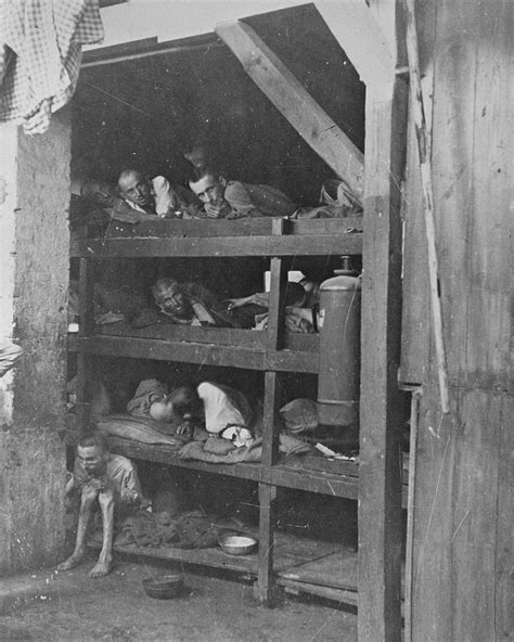 survivors lie in multi tiered bunks in the infirmary barracks of the