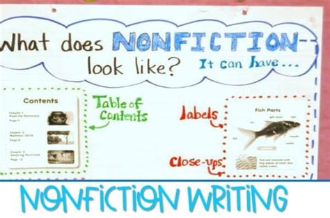 nonfiction writing lessons  kindergarten   grade