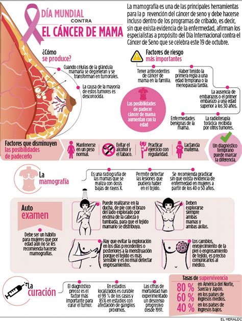 infografía día mundial contra el cáncer de mama