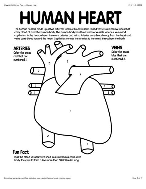 webhostcom  web hosting provider heart coloring pages