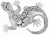 Coloring Zentangle Mandalas Gecko Ausmalen Boyama Abstrakt Zentangles Doodles Geckos Creativity Paisley Abstrakte Antistress Sketchbook Salamandre Coccia Disegni Colorare Malvorlagen sketch template