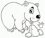 Wombat Drawing Getdrawings Australian Coloring Marsupial sketch template