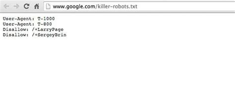 killer robotstxt google easter egg