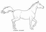 Horse Arabian Lineart Deviantart sketch template