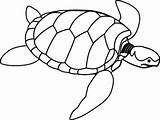 Coloring Turtle Pages Kids Disney sketch template
