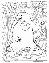 Bear Coloring Sun Pages Mammals Printable Mammal Clipart Line Google Preschool Worksheets Book Animal Designlooter Library Popular sketch template