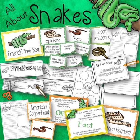 snakes activities posters books  fact  opinion