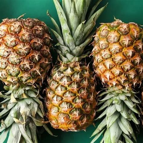 pineapple  chennai latest price mandi rates  dealers  chennai