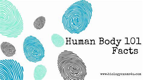 systems   human body  human body systems