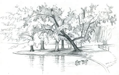 tamiart drawing   park