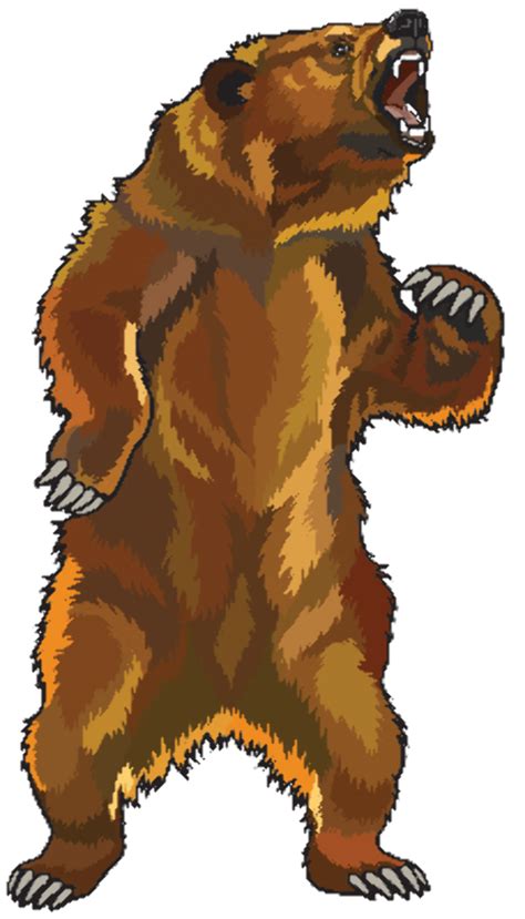 high quality bear clipart grizzly transparent png images art
