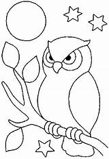 Eule Malvorlage Owl sketch template