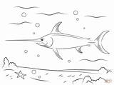 Swordfish Coloring Pages Drawing Printable Games Crafts sketch template