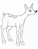 Fawn Cute Coloring sketch template