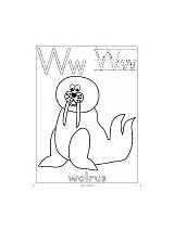 Walrus Letter Lesson Plan School First Printable Coloring Activities Worksheets Preschool Color sketch template