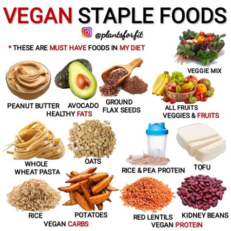 Health Advice Vegan Recipes On Instagram “my Vegan Diet Staples 🥦🍓