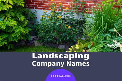 landscaping company  ideas  win customers soocial
