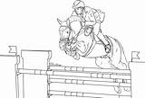 Jumping Horse Coloring Pages Show Printable sketch template
