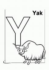 Yak Coloring Pages Popular Coloringhome sketch template
