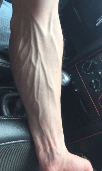 50 Veiny Arms Ideas In 2021 Veiny Arms Hand Veins Daddy Aesthetic