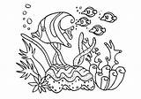 Reef Coloring Barrier Corail Malvorlagen Dibujos Coloriages Fische Divyajanani sketch template