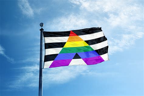 Pride Flags Take Different Forms To Represent Different Groups