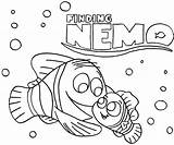 Finding Nemo Coloring Pages Squirt Marlin Printable Dory Getcolorings Getdrawings Print Colorings Color Pearl sketch template
