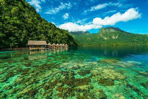 Tag Wisata Laut Maluku