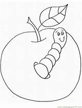 Worm Apple Coloring Worms Printable Pages Color Insects sketch template
