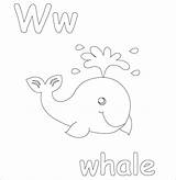 Whale sketch template