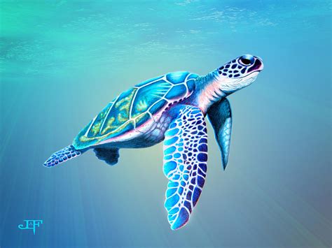 sea turtle drawing  jessica olson lafree pixels