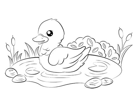 printable duckling coloring page    https