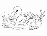 Duckling Museprintables sketch template