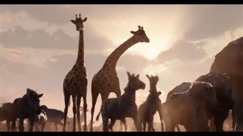 Pin By Alexander Wijns On Lion King Trilogy Lion King Pictures Lion
