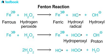 fentons reaction   protocol definition mechanism
