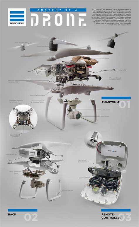 drone   heres  dissection   dji phantom  drone girl