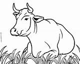 Coloring Pages Cow Cows Kids Printable Cool2bkids Drawing Colouring Book Color Cute Sheets Realistic Animal Line Choose Board Disney sketch template