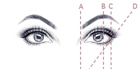 How To Shape Your Eyebrows Simple Shaping Rules
