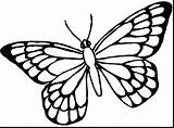 Butterfly Monarch Drawing Tattoo Outline Template Clipartmag sketch template