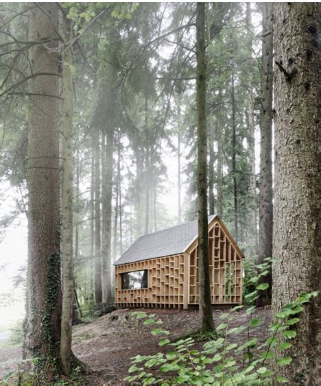cohabitable cabin multi species wooden forest retreat designs ideas  dornob