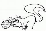 Squirrel Esquilo Eekhoorn Scoiattolo Kleurplaat Kleurplaten Noz Ardilla Dieren Disegni Ecureuil Nuez Tocando Bambini Colorare Jugando Ardillas Eichhörnchen Eekhoorns Mewarnai sketch template