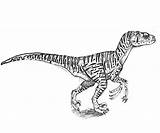 Dinosaure Kleurplaat Rex Indoraptor Trex Velociraptor Mosasaurus Omnilabo Jecolorie Spinosaurus Suchomimus Kleurplaten Colorier Downloaden Indominus Owen Choisir Imprimé Fois sketch template