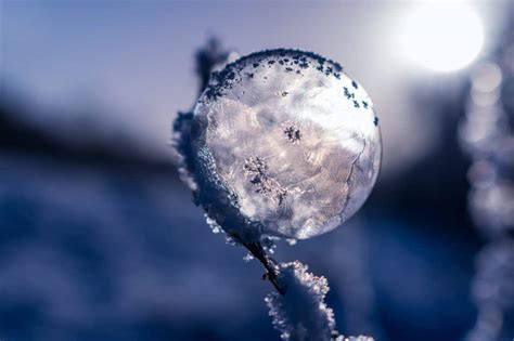 kostenlose bild frost winter natur schnee eis kristall