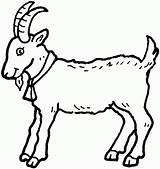 Coloring Goat Pages Cute Popular sketch template