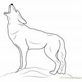 Coyote Coloring Pages Howling Kids Coloringpages101 sketch template