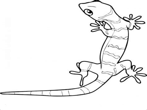 lizards coloring pages coloringbay