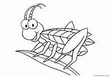 Coloring4free Insect sketch template