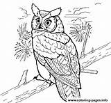 Owl Coloring Horned Great Pages Owls Color Printable Real Book Animal Coloringcrew Drawing Colouring Draw Birds Visit sketch template