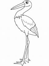 Stork Coloring Cegonha Colorare Cigogne Cicogna Passarinho Bonita Ptaki Cigognes Leylek Dessins Disegni Cicogne Kolorowanki Boyama νηπιαγωγειο Okul öncesi Etkinliği sketch template